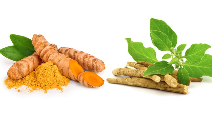 Turmeric/Ashwagandha Formula Shows Neuroprotective Properties: Animal Study